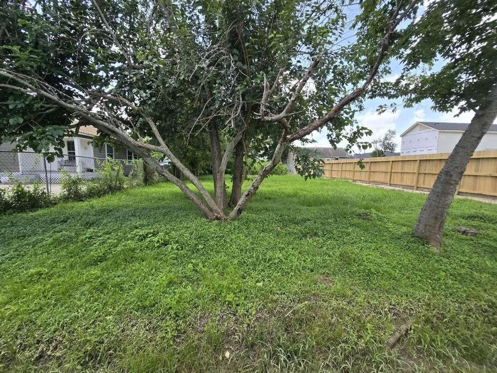 981 Fillmore Street, Houston, TX 77029