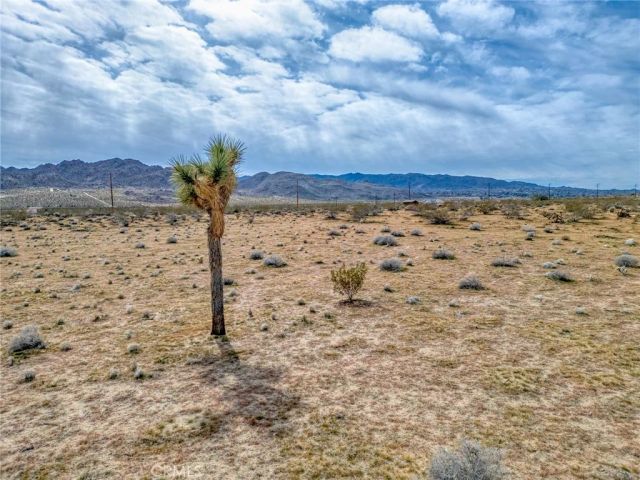 147 Little, Joshua Tree, CA 92252