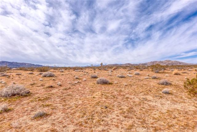147 Little, Joshua Tree, CA 92252