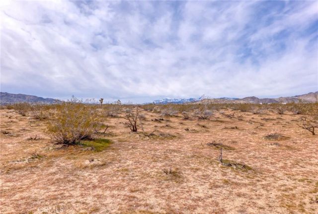 147 Little, Joshua Tree, CA 92252