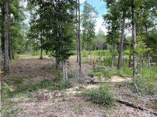 0 Bonfire, Livingston, TX 77351