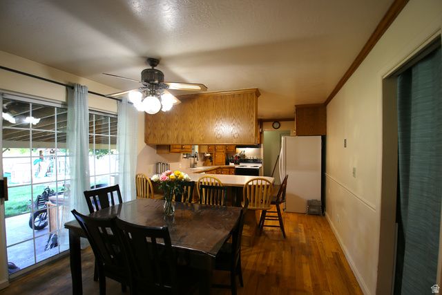 1612 E 450 S, Springville, UT 84663