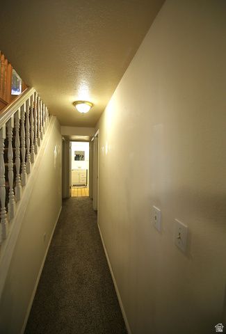 1612 E 450 S, Springville, UT 84663