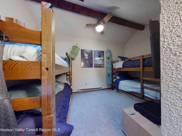 13 Brainard Ridge Road, Windham, NY 12496