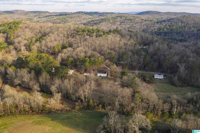 7121 GOODNER MTN ROAD, Pinson, AL 35126