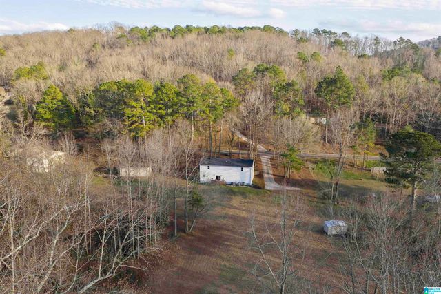 7121 GOODNER MTN ROAD, Pinson, AL 35126