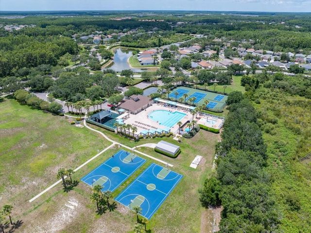 2906 DEER PINE TRAIL, Land O Lakes, FL 34638