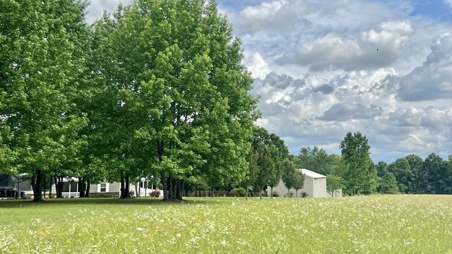 147 Paul Spears Rd, Summertown, TN 38483