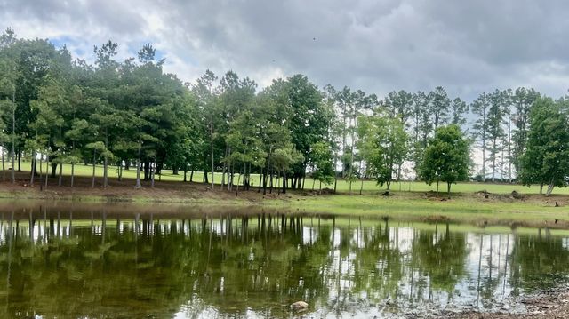 147 Paul Spears Rd, Summertown, TN 38483