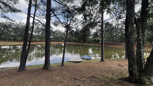 147 Paul Spears Rd, Summertown, TN 38483