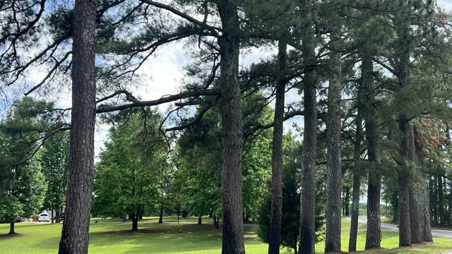 147 Paul Spears Rd, Summertown, TN 38483
