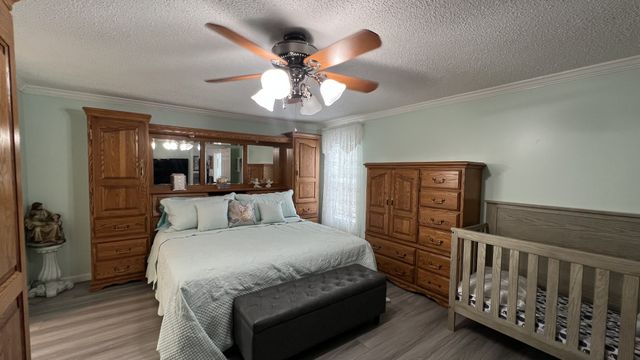 147 Paul Spears Rd, Summertown, TN 38483