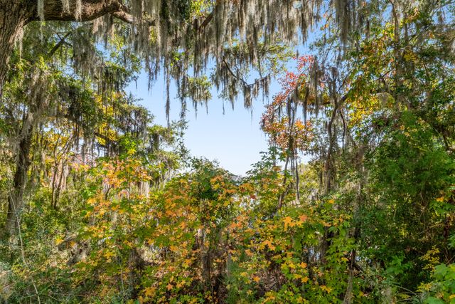 1510 Cecile Street Unit F-1, Mount Pleasant, SC 29464