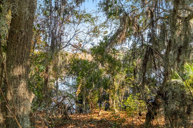 1510 Cecile Street Unit F-1, Mount Pleasant, SC 29464