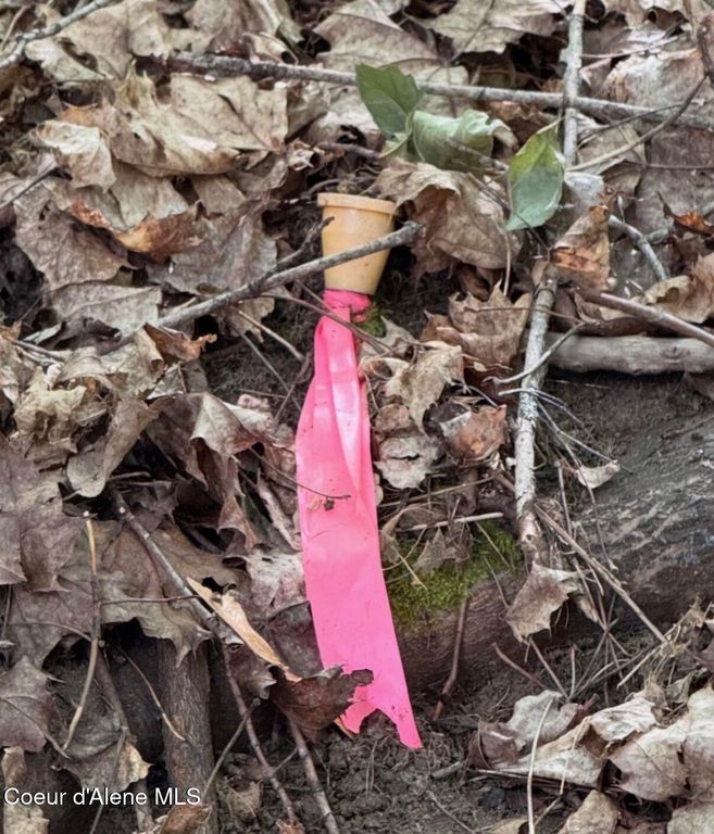 827 S Division ST, Kellogg, ID 83837 photo 10