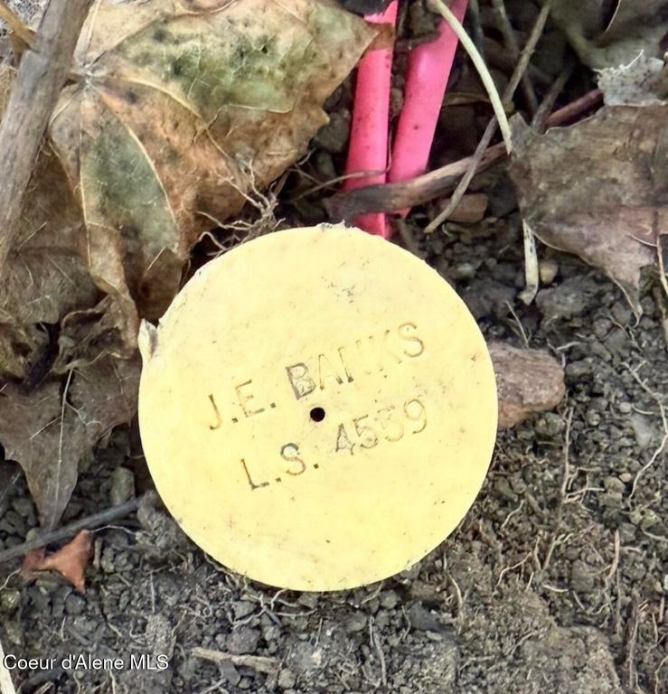 827 S Division ST, Kellogg, ID 83837 photo 8