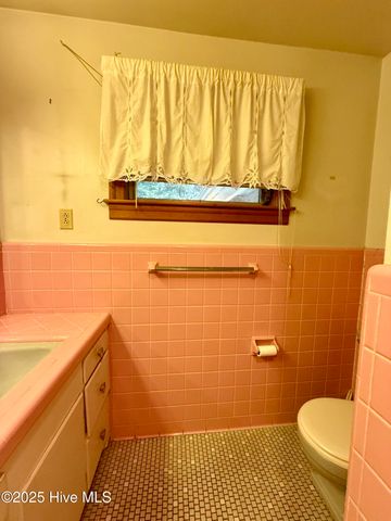 102 Long Ridge Road, Plymouth, NC 27962