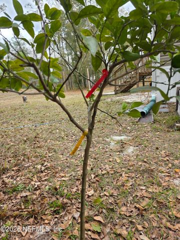 1556 RAYNE Point, Middleburg, FL 32068