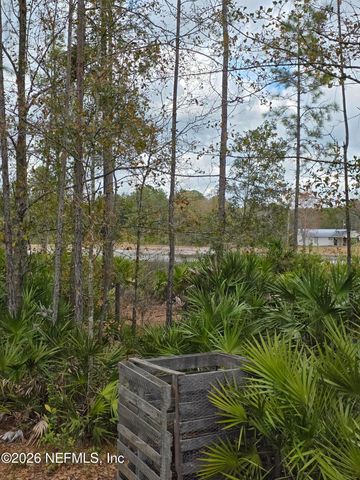 1556 RAYNE Point, Middleburg, FL 32068