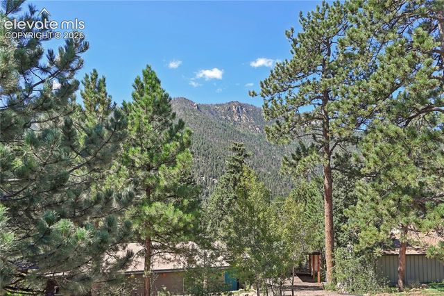 4455 Heizer Street, Cascade, CO 80809