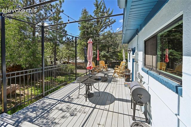 4455 Heizer Street, Cascade, CO 80809