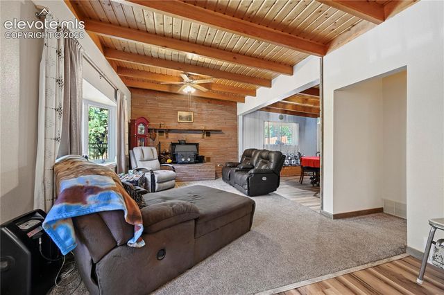 4455 Heizer Street, Cascade, CO 80809