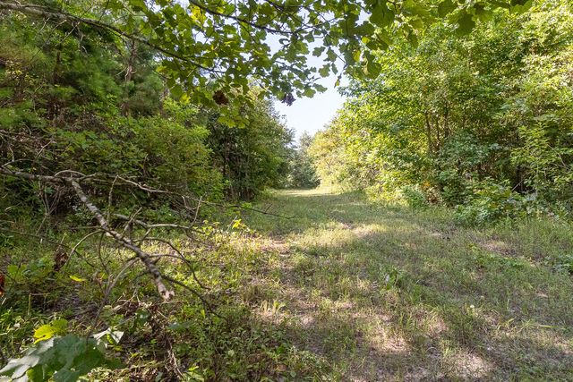 4482 Farm Road 3357, Winnsboro, TX 75494