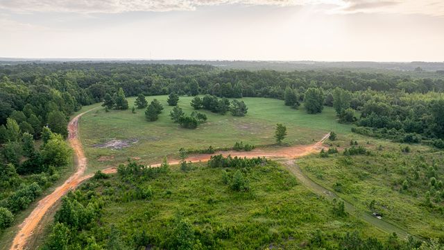 4482 Farm Road 3357, Winnsboro, TX 75494