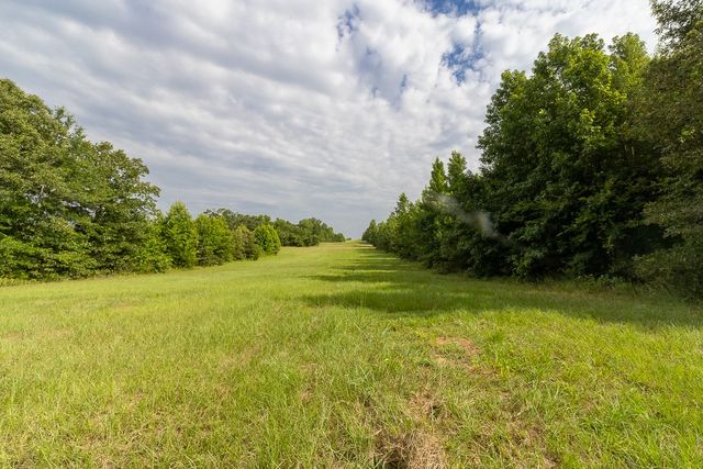 4482 Farm Road 3357, Winnsboro, TX 75494