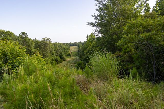 4482 Farm Road 3357, Winnsboro, TX 75494