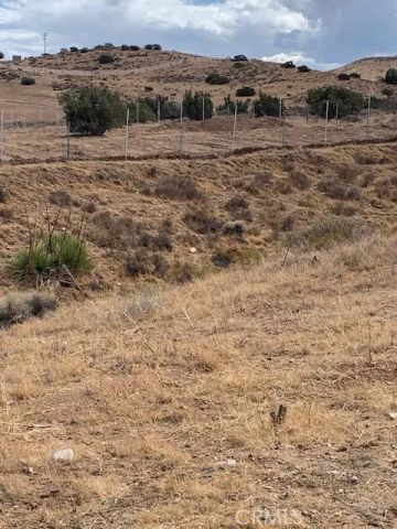 2 Rough, Acton, CA 93550
