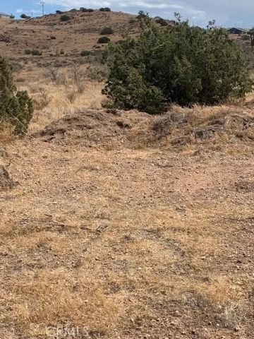2 Rough, Acton, CA 93550