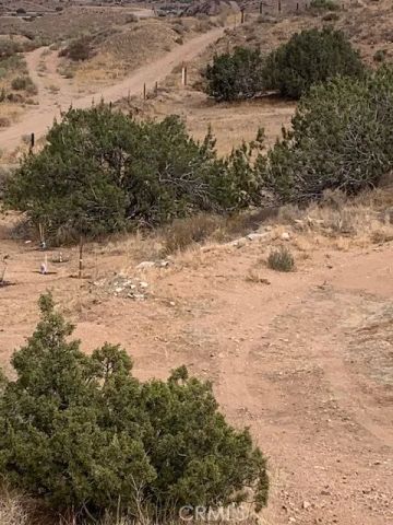 2 Rough, Acton, CA 93550