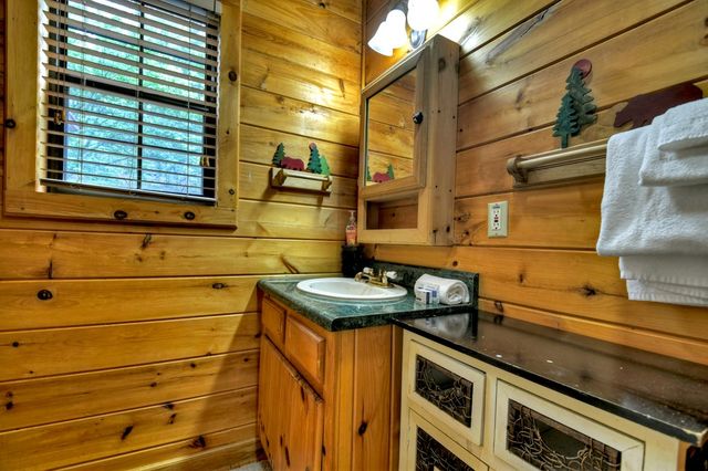 294 Oakwood Trail, Mineral Bluff, GA 30559