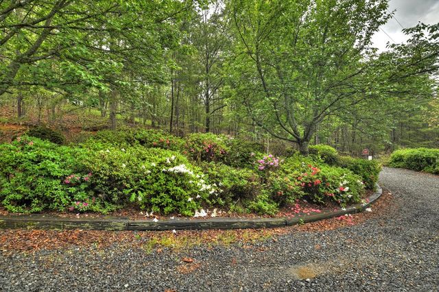 294 Oakwood Trail, Mineral Bluff, GA 30559