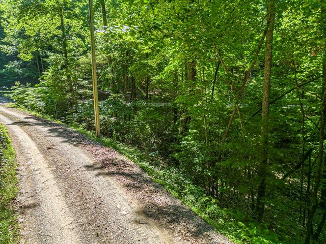 294 Oakwood Trail, Mineral Bluff, GA 30559