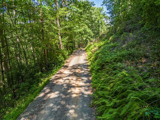 294 Oakwood Trail, Mineral Bluff, GA 30559