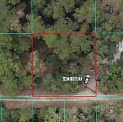 00 NE 166TH STREET, Fort Mc Coy, FL 32134