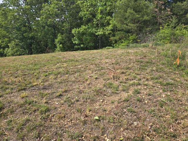 2 Turtle Point, Waverly, TN 37185