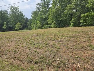 2 Turtle Point, Waverly, TN 37185