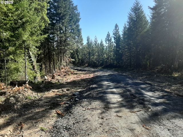 252 MAY CREEK Rd, Days Creek, OR 97429