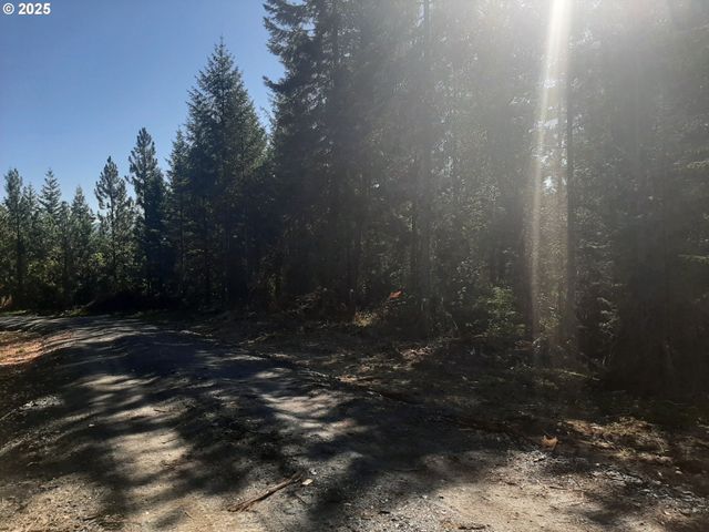 252 MAY CREEK Rd, Days Creek, OR 97429