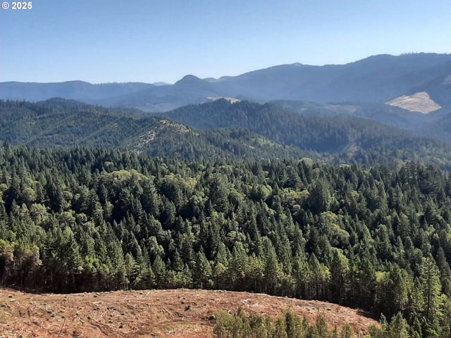 252 MAY CREEK Rd, Days Creek, OR 97429