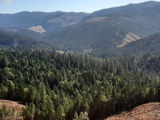 252 MAY CREEK Rd, Days Creek, OR 97429