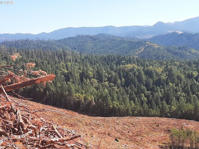 252 MAY CREEK Rd, Days Creek, OR 97429