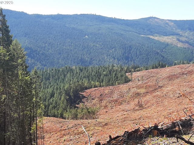 252 MAY CREEK Rd, Days Creek, OR 97429