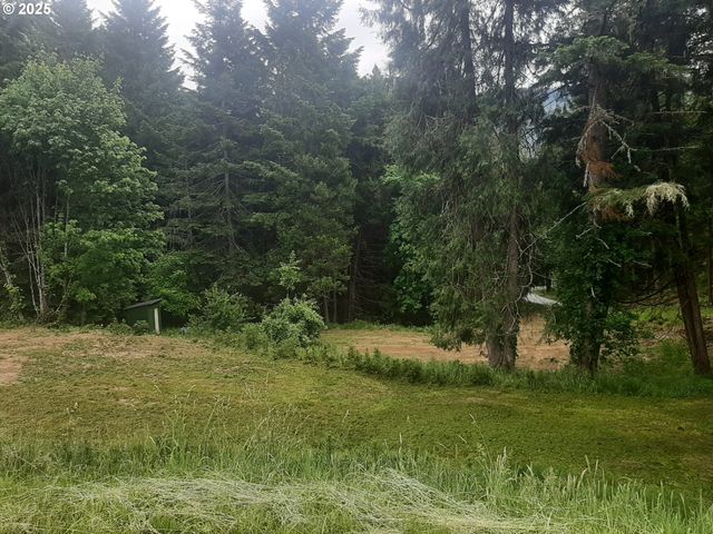 252 MAY CREEK Rd, Days Creek, OR 97429