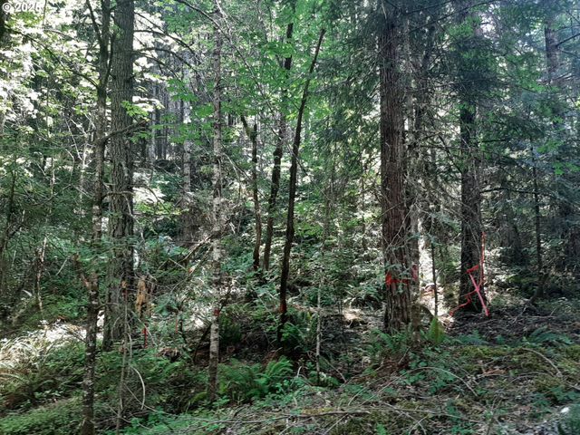 252 MAY CREEK Rd, Days Creek, OR 97429