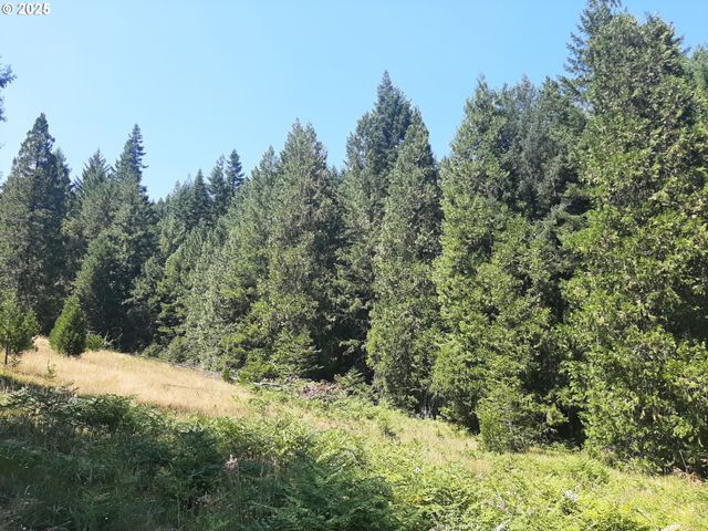 252 MAY CREEK Rd, Days Creek, OR 97429