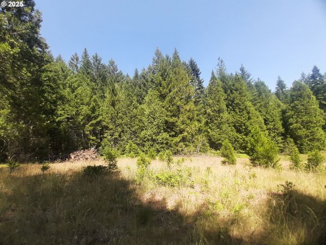 252 MAY CREEK Rd, Days Creek, OR 97429